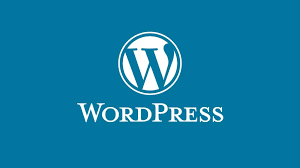 Wordpress Eklenti Geliştirme, İsteğinize Özel Wordpress Eklenti Geliştirme